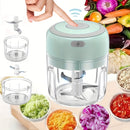 Mini Picador de Alho Eltrico FLZH Mini Processador de Alimentos Eltrico Porttil Picador de Alho Cebola e Legumes Prensa Mini Processador de Alimentos de 250ml para Pimenta Carne Especiarias Mquina de Liquidificar e Picar